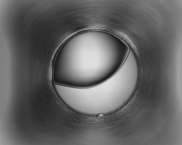 X0000096211276200801181002
