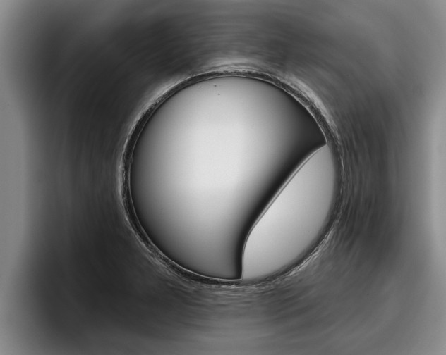 X0000096211277200801181002