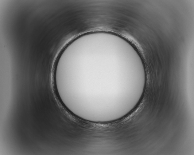 X0000096211278200801181002