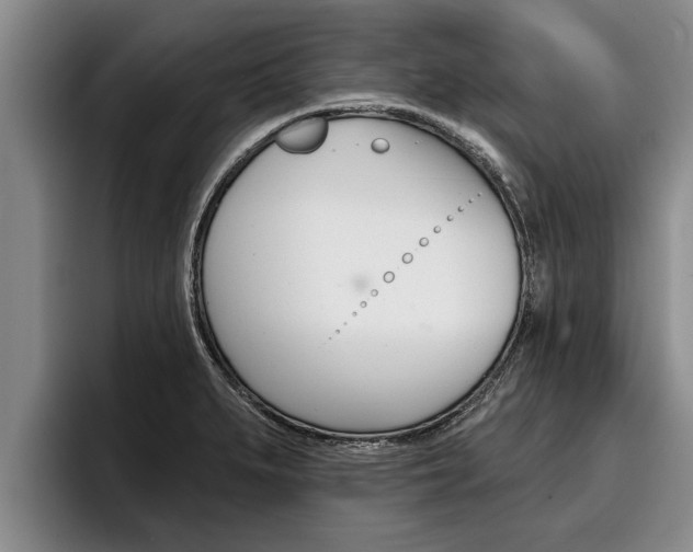 X0000096211279200801181002