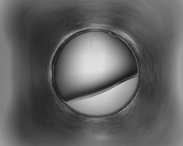 X0000096211280200801181002