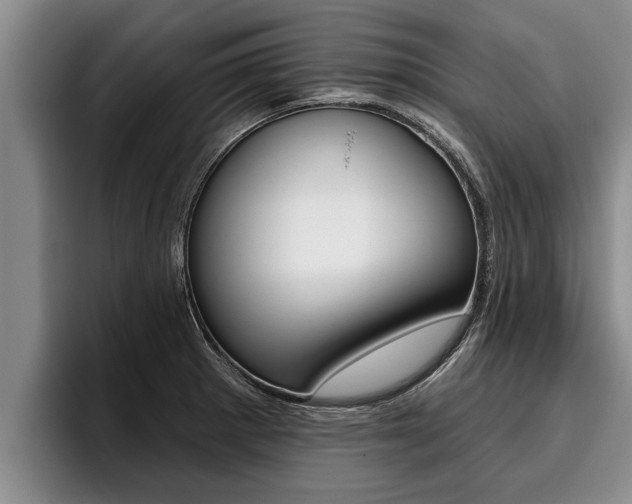 X0000096211281200801181002