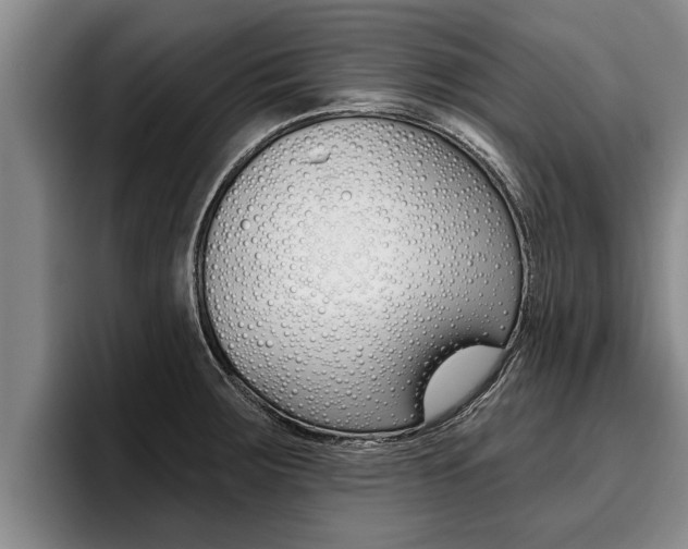 X0000096211283200801181002