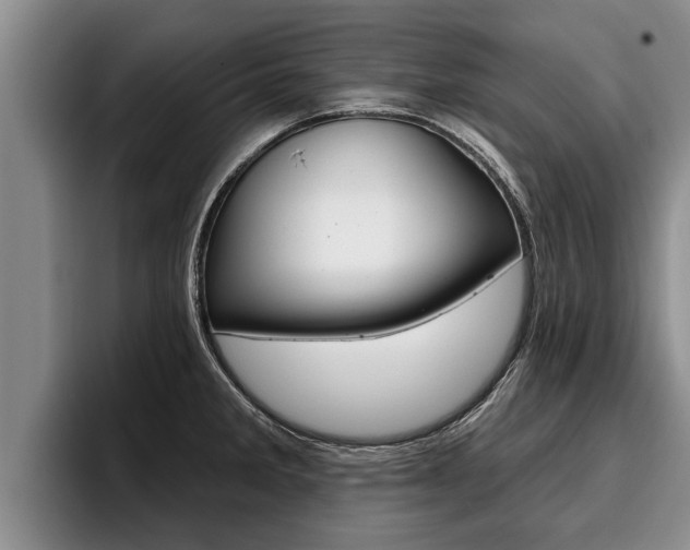 X0000096211285200801181002
