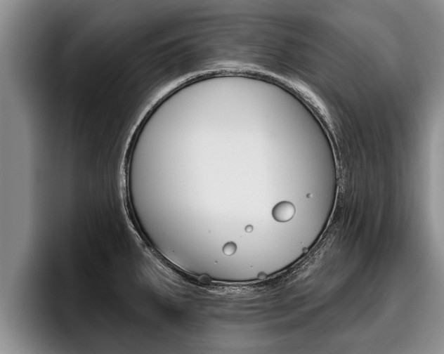X0000096211287200801181002