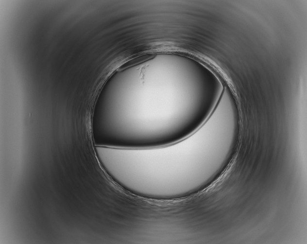 X0000096211289200801181002