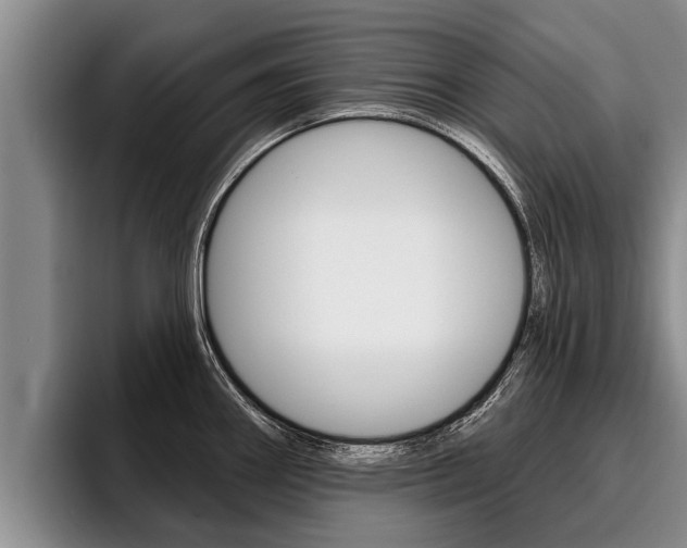 X0000096211290200801181002