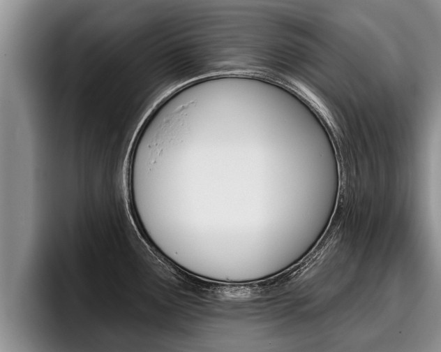 X0000096211291200801181002