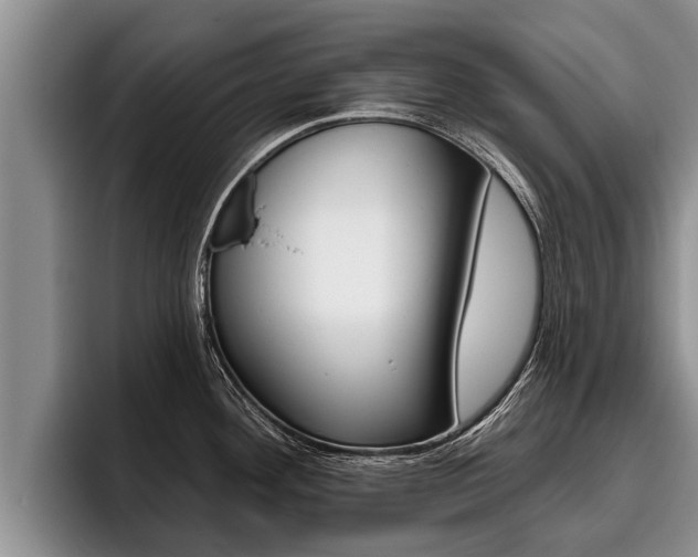 X0000096211292200801181002