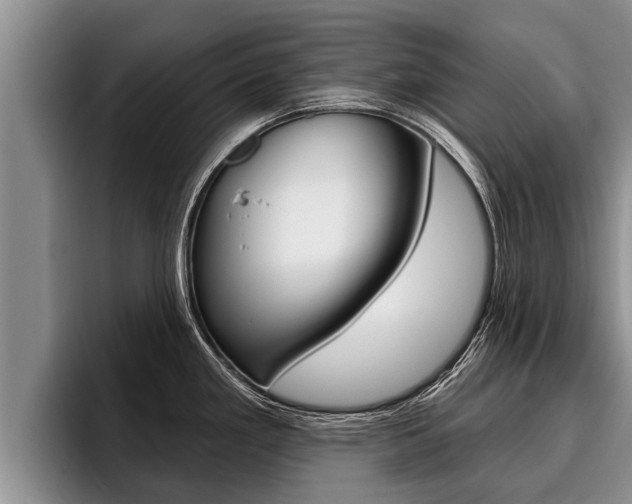 X0000096211293200801181002