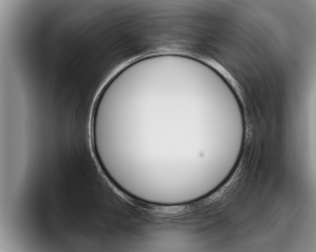 X0000096211294200801181002