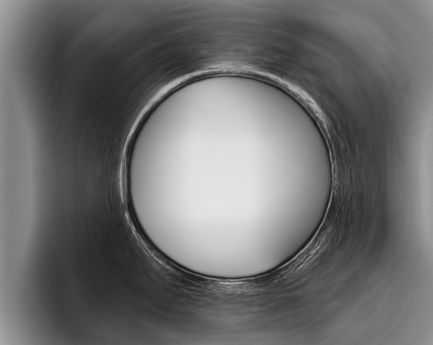 X0000096211295200801181002