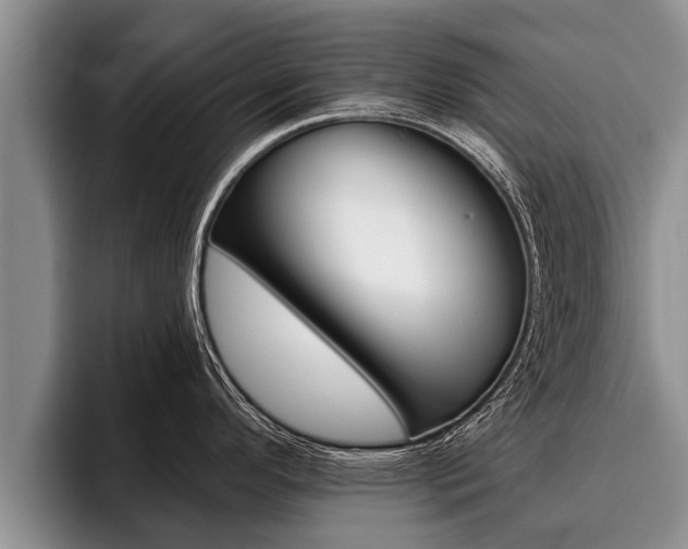 X0000096211296200801181002
