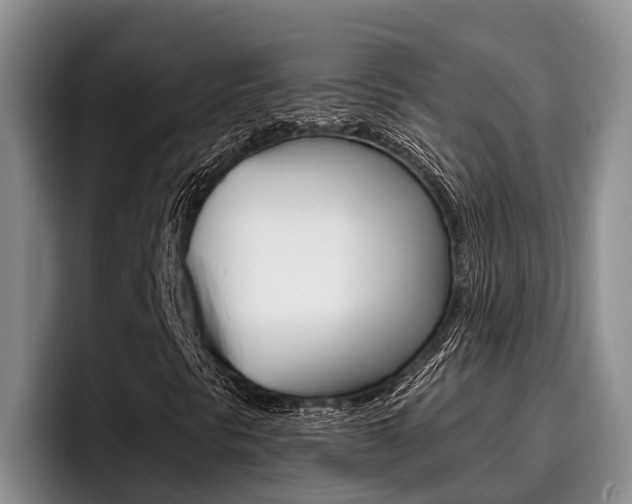 X0000096211297200801181001
