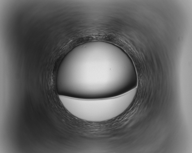 X0000096211298200801181001