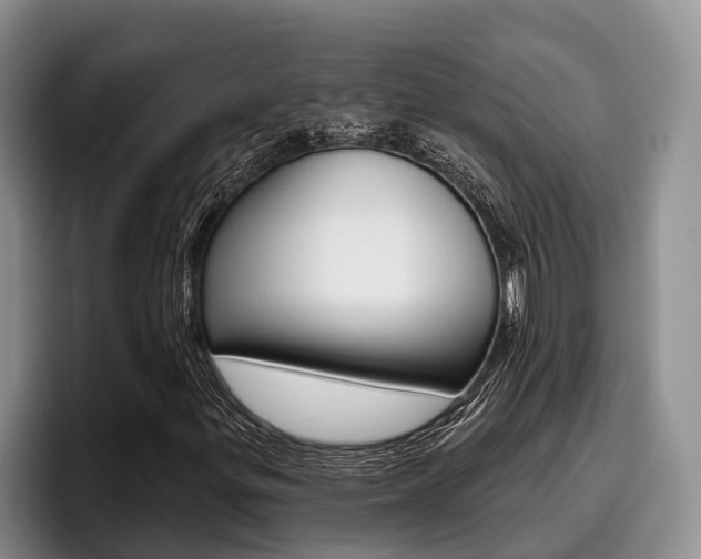 X0000096211299200801181001