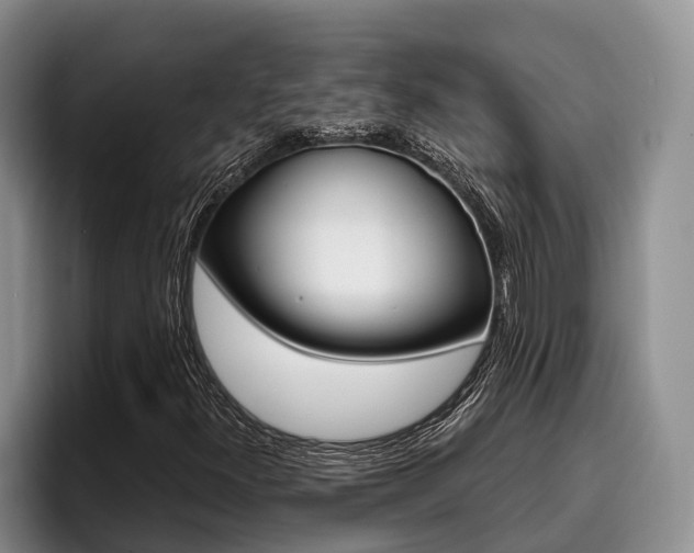 X0000096211300200801181001