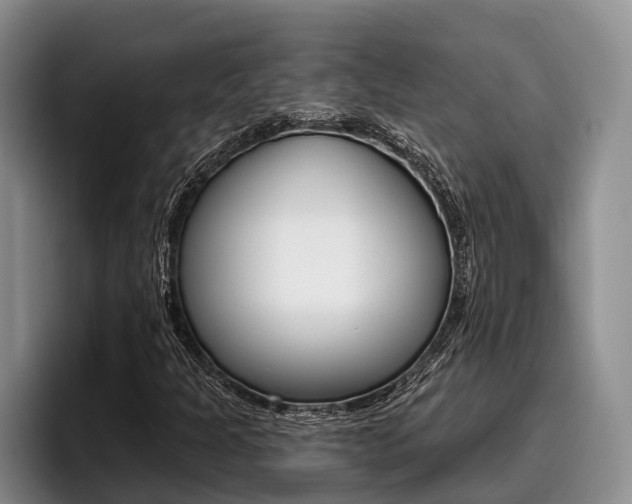X0000096211301200801181001