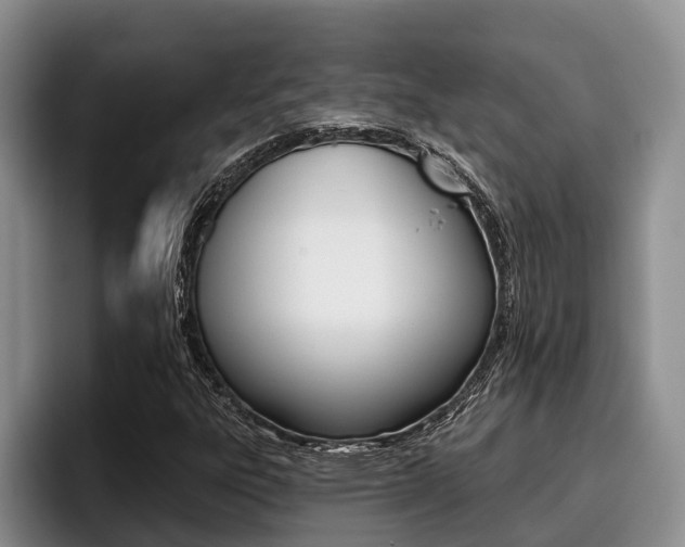 X0000096211303200801181001
