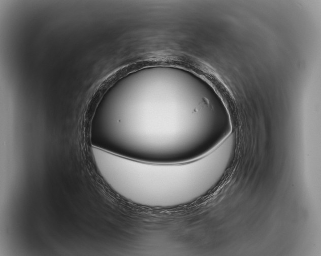 X0000096211304200801181001