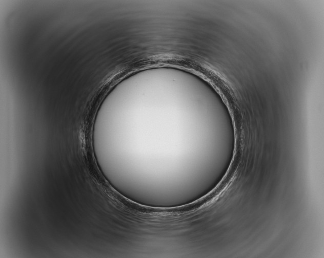 X0000096211305200801181001