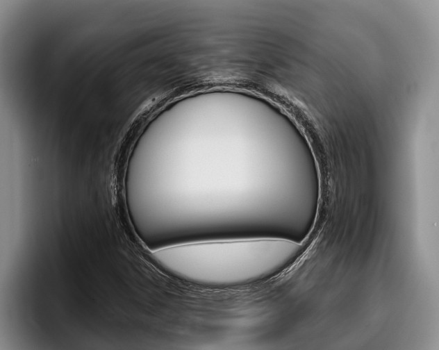 X0000096211306200801181001