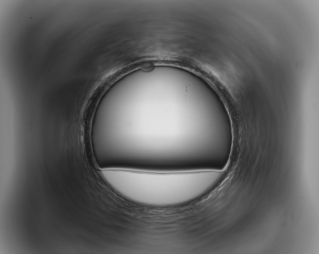 X0000096211307200801181001