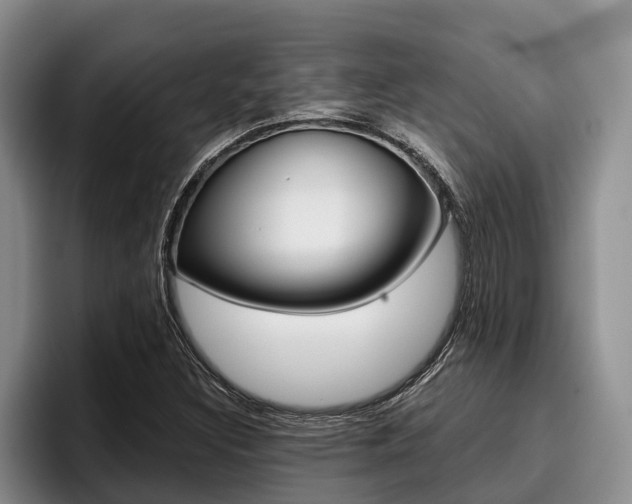 X0000096211308200801181001