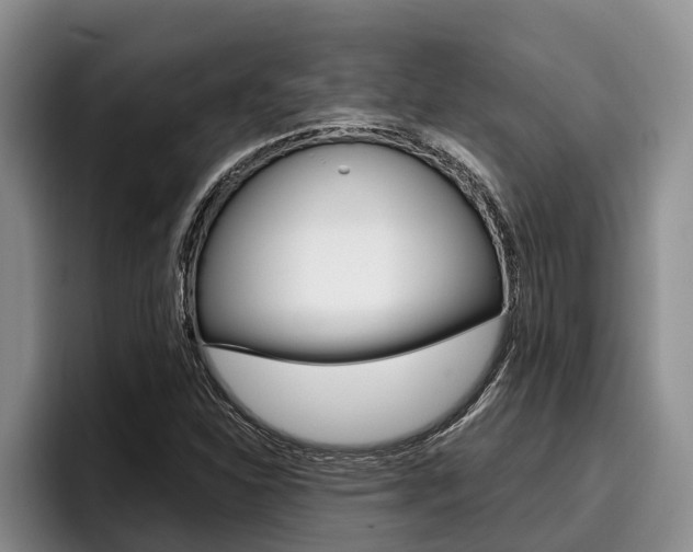 X0000096211310200801181001