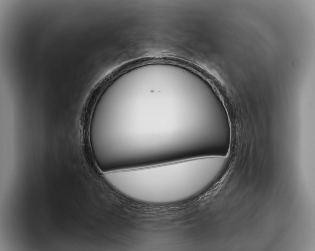 X0000096211311200801181001