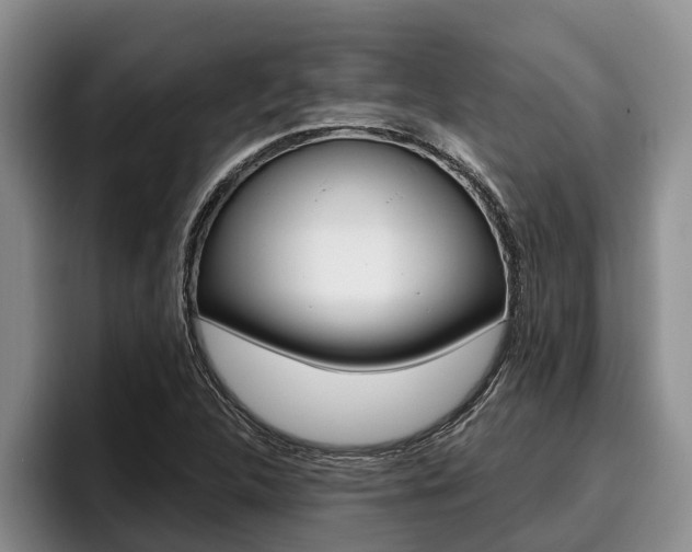 X0000096211312200801181001
