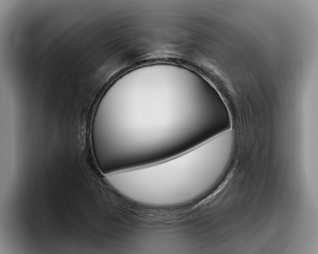 X0000096211313200801181001