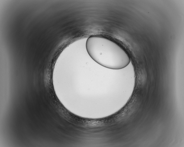X0000096211314200801181001