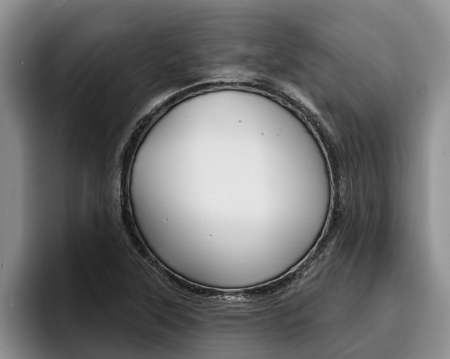 X0000096211315200801181001