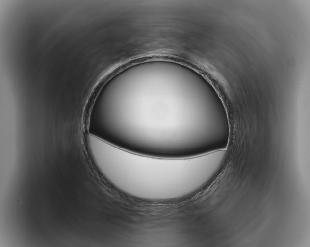 X0000096211316200801181001