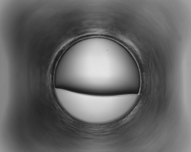 X0000096211318200801181001