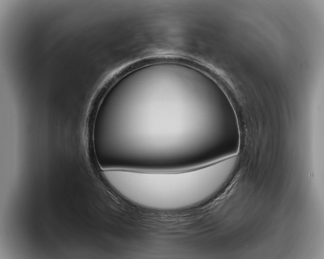 X0000096211319200801181001