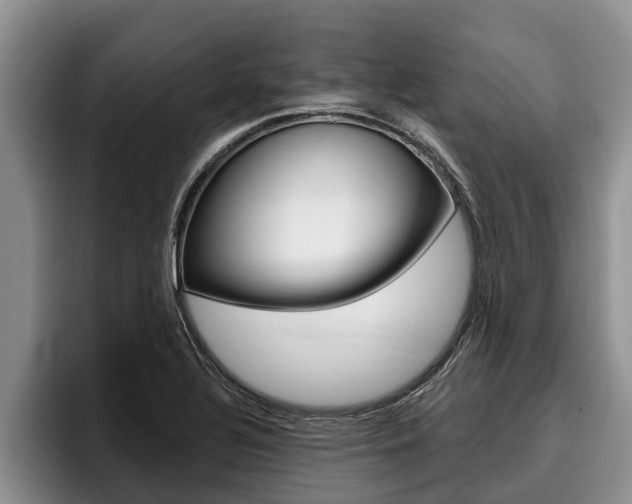 X0000096211320200801181001