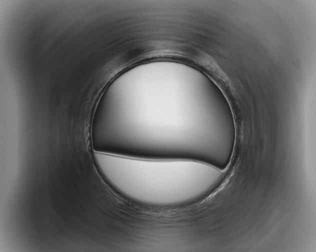 X0000096211321200801181001