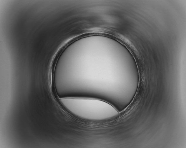 X0000096211323200801181001