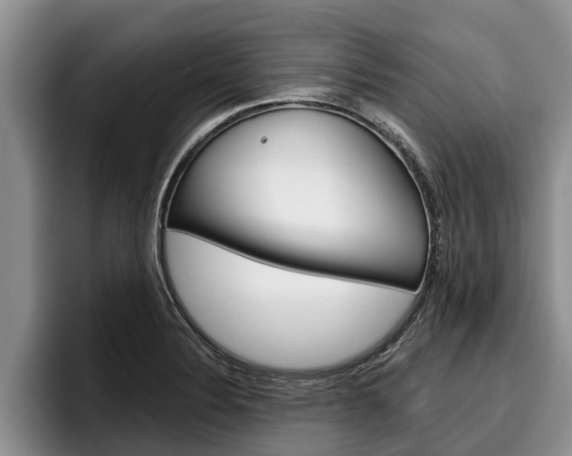 X0000096211324200801181001