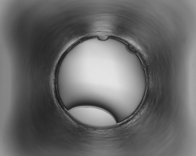 X0000096211325200801181001