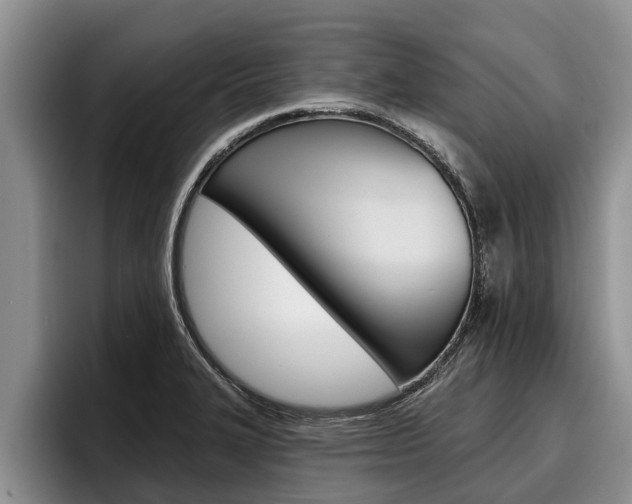 X0000096211327200801181001