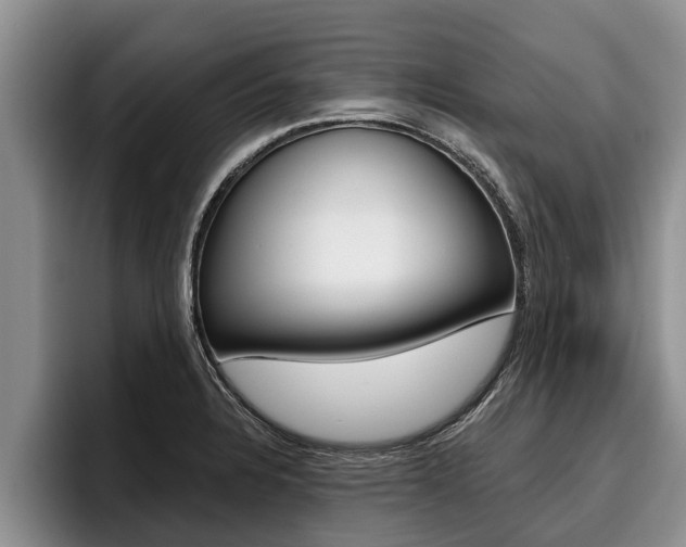 X0000096211328200801181001