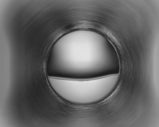 X0000096211329200801181001