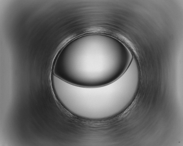 X0000096211330200801181001