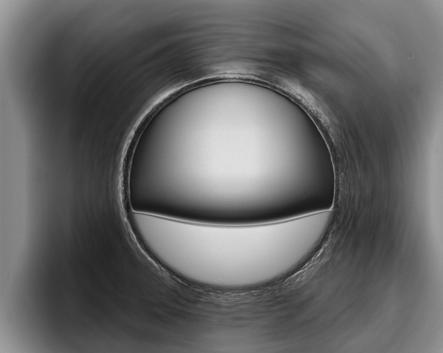 X0000096211331200801181001