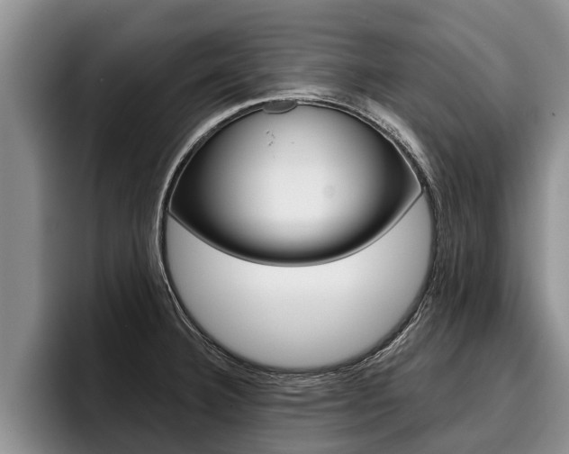 X0000096211332200801181001