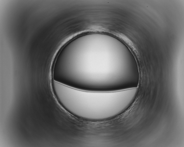 X0000096211335200801181001