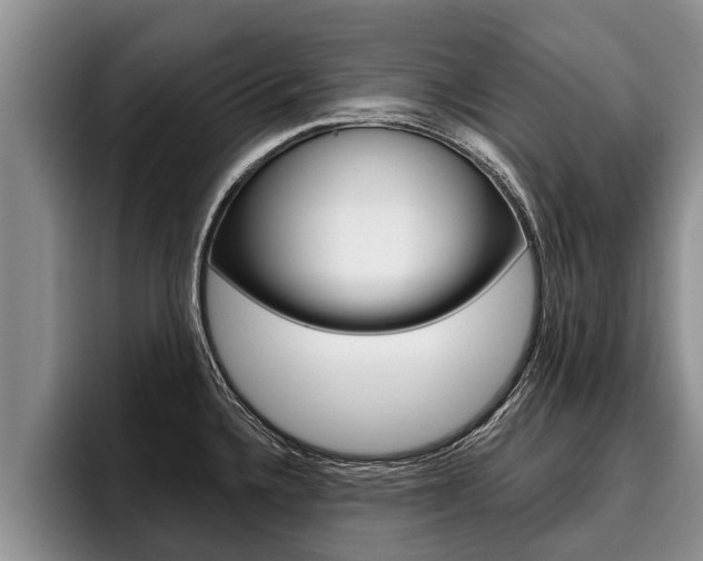 X0000096211336200801181001